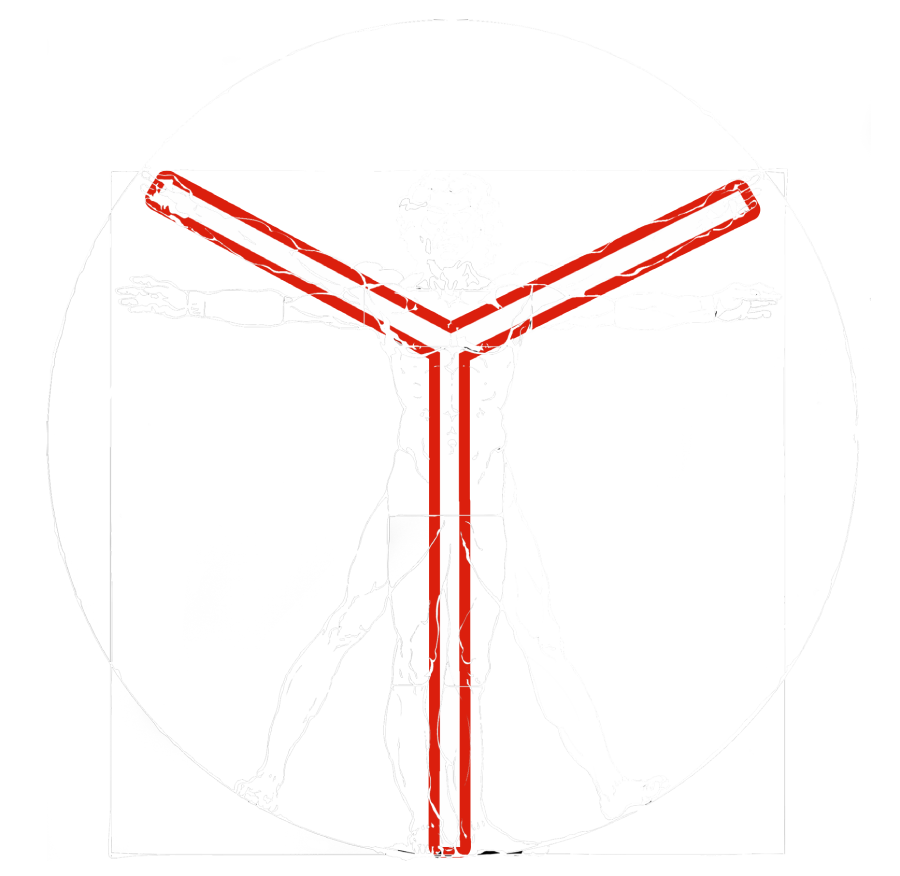 The Y - Vitruvian Man